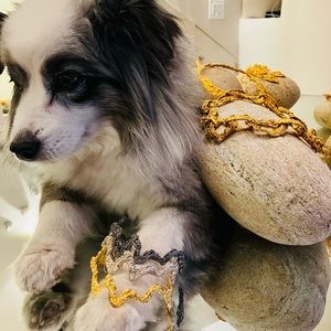 Meet your Posher, Lara